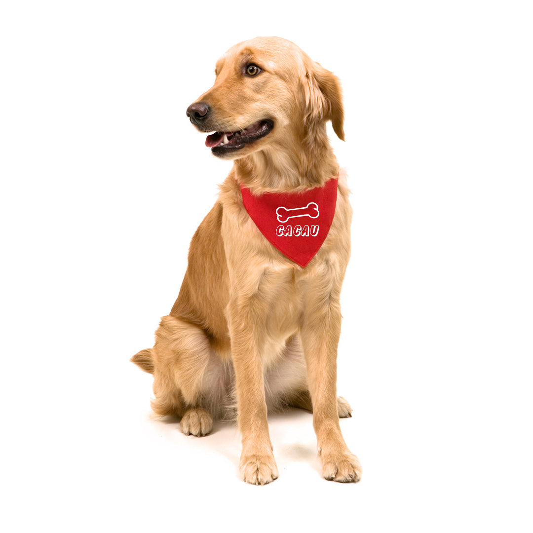 Coleira Bandana Pet
