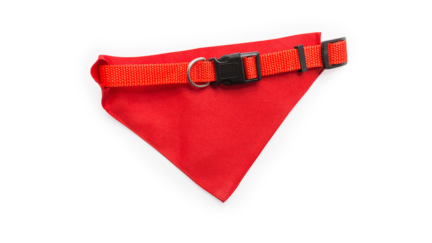 Coleira Bandana Pet