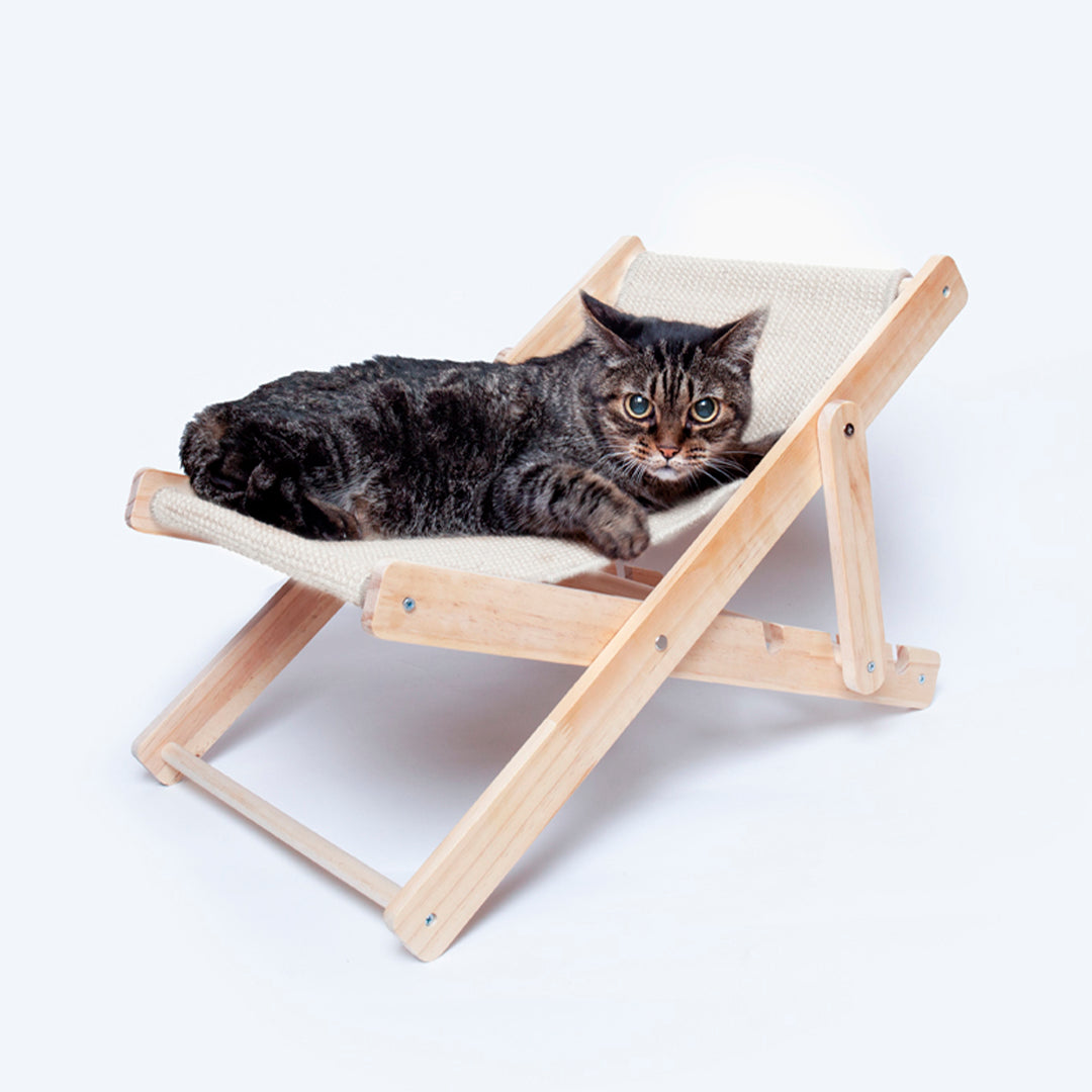 Cadeira para Animal Estimação